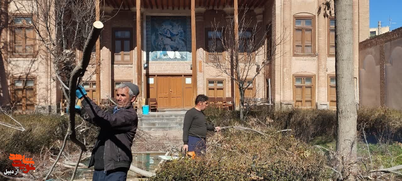 هرس و بازپیرایی درختان موزه شهدای اردبیل