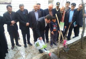 کاشت نهال در بیت شهیدان مدافع حرم کاشت نهال در بیت شهیدان مدافع حرم