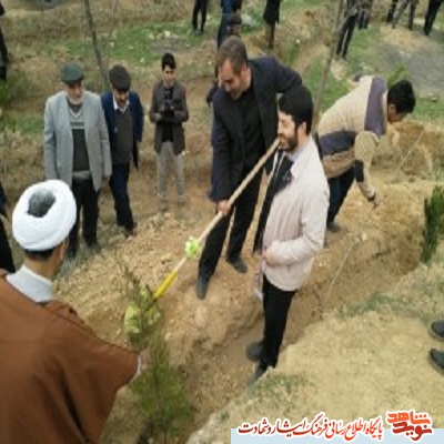 نهال‌هایی به نام شهدای آسمانی در زمین