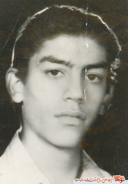 زندگینامه شهدای پانزده مرداد ماه