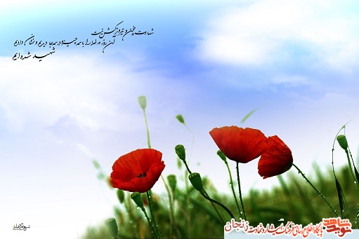 خاطرهای از شهید محمدحسین تجلی/ باید مواظب باشیم خاطرهای از شهید محمدحسین تجلی/ باید مواظب باشیم