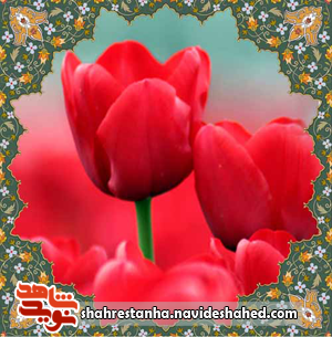 نگاهی به زندگی شهید 14 ساله نگاهی به زندگی شهید 14 ساله