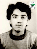 شهادت در نگاه شهید نجفی