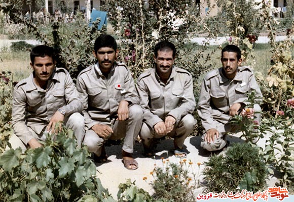 قوطی شکر! قوطی شکر!