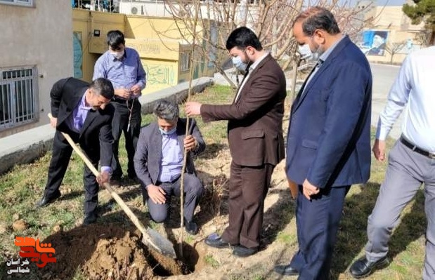 غرص نهال به یاد سه هزار شهید خراسان شمالی