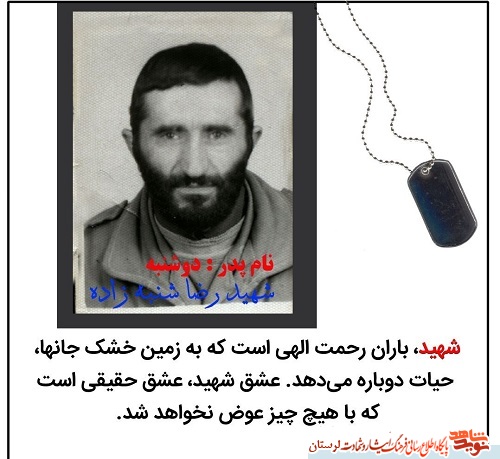 آلبوم تصاویر شهدای الشتر منتشر شد