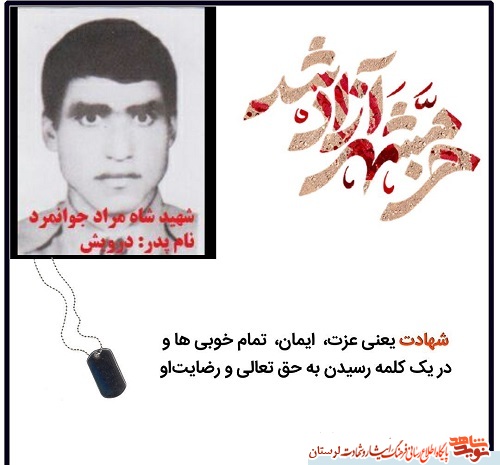 آلبوم تصاویر شهدای الشتر منتشر شد