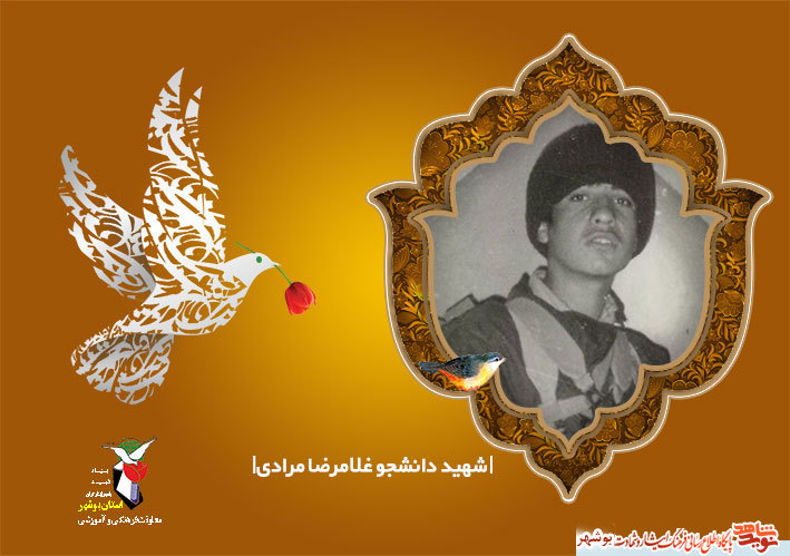 ورود به دانشگاه راهی برای شهادتش شد