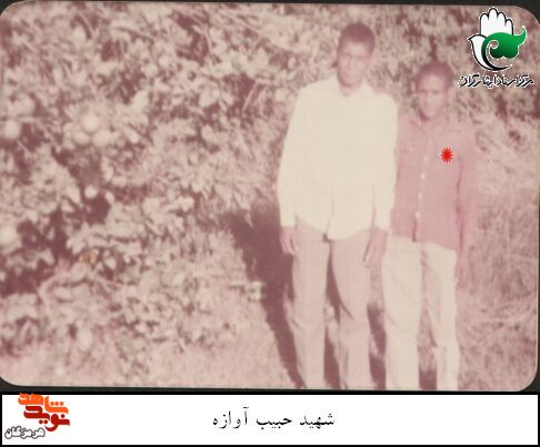 آلبوم تصاویر شهید «حبیب آوازه»