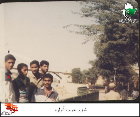 آلبوم تصاویر شهید «حبیب آوازه»