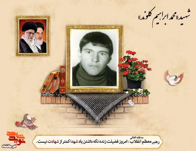 جانم را فدای اسلام و امام می‌کنم