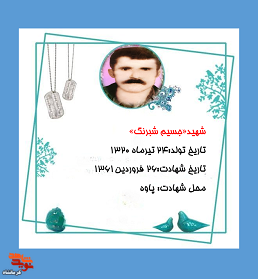 زندگی‌نامه و رشادت‌های شهید «جسیم شبرنگ»، پاسدار فداکار انقلاب