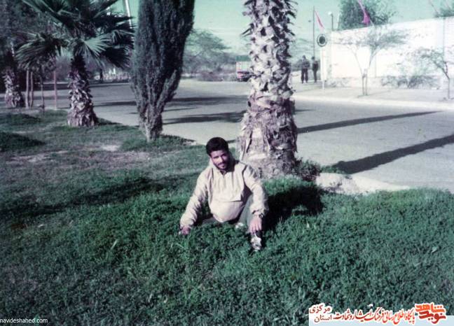 شهید مسعود مرادی