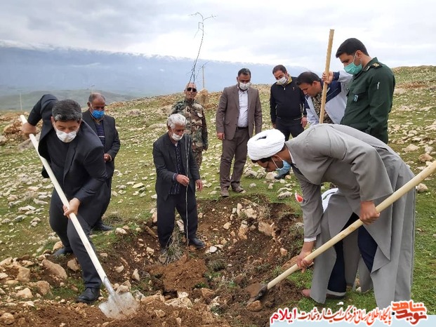 
غرس 6 اصله نهال به یاد 6 شهید زن شهرستان سیروان