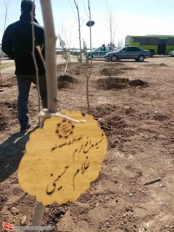 طرح نهال‌های جاودان در شهرستان بهارستان