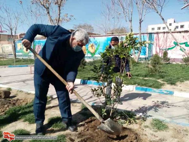 طرح نهال‌های جاودان در شهرستان بهارستان