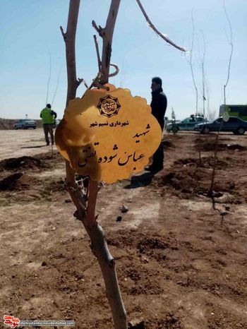 طرح نهال‌های جاودان در شهرستان بهارستان
