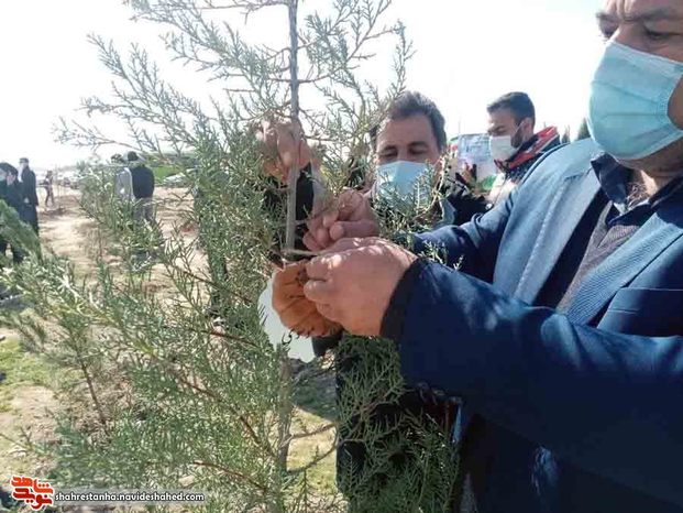 طرح نهال‌های جاودان در شهرستان بهارستان