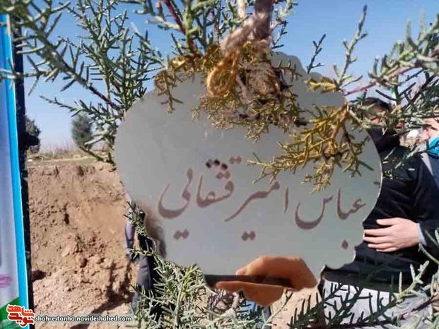 طرح نهال‌های جاودان در شهرستان بهارستان