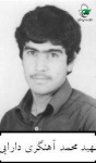 محمد آهنگری دارابی
