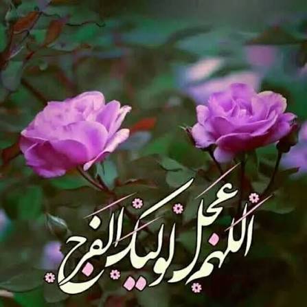 یادداشت/ گُلی که فصل نمی شناسد یادداشت/ گُلی که فصل نمی شناسد